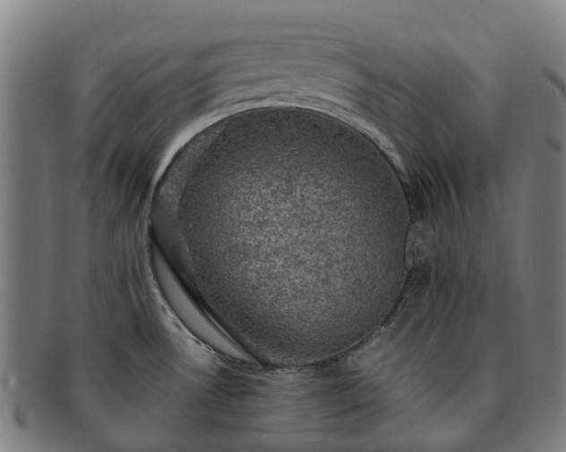 X0000091711530200708311104