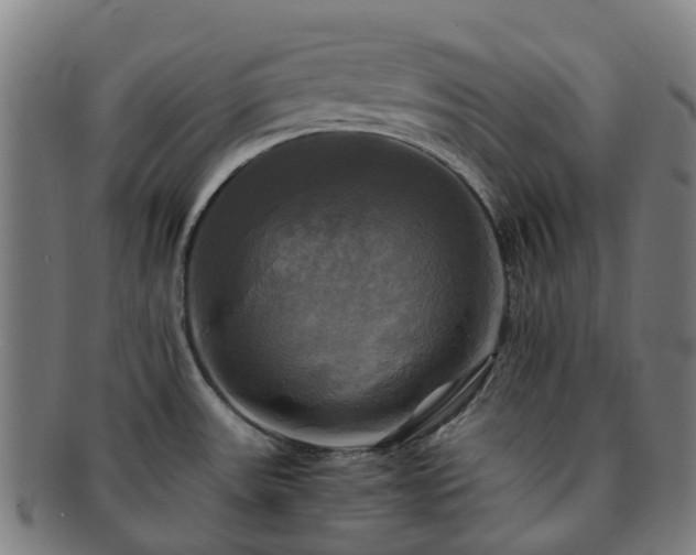 X0000091711531200708311104