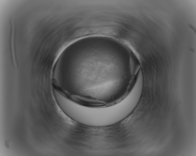 X0000091711532200708311104