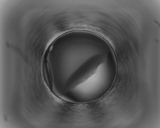 X0000091711533200708311104