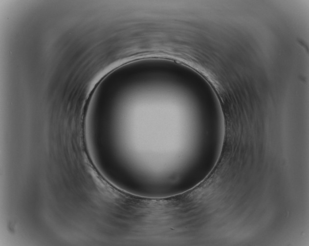 X0000091711534200708311104