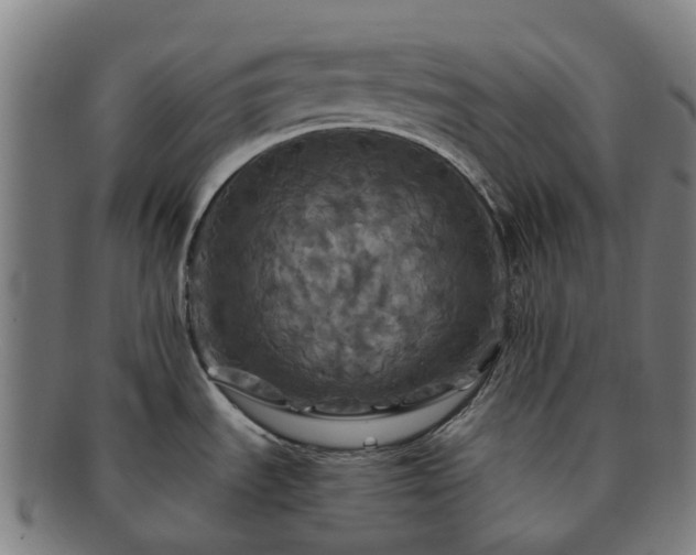 X0000091711535200708311104