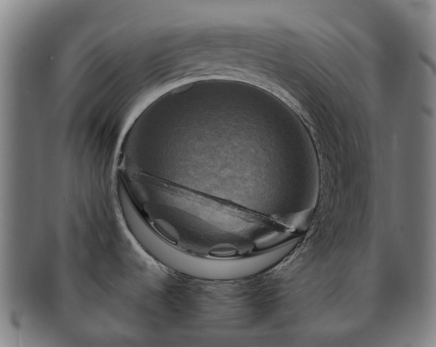 X0000091711536200708311104