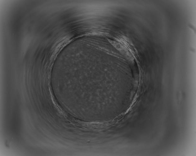 X0000091710001200709071423