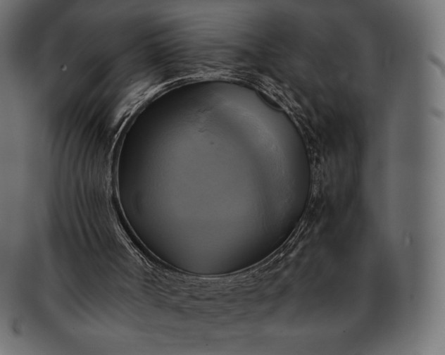 X0000091710002200709071423