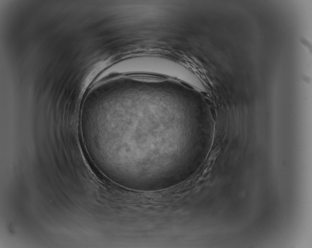 X0000091710003200709071423