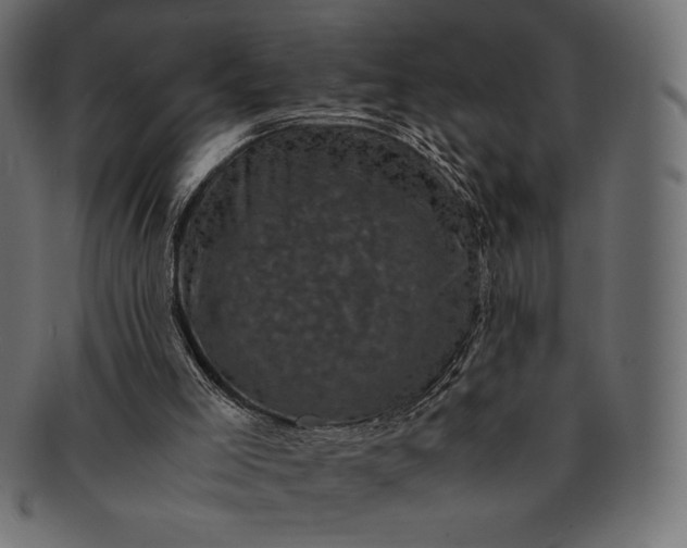 X0000091710005200709071423