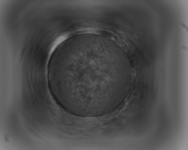 X0000091710006200709071423