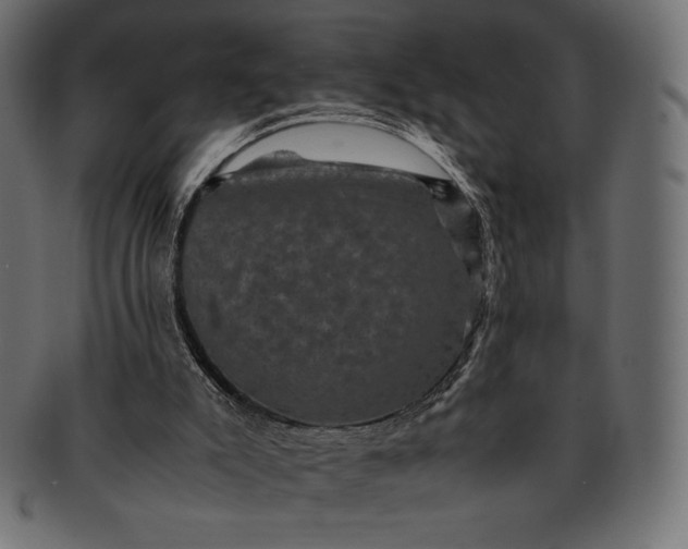 X0000091710007200709071423