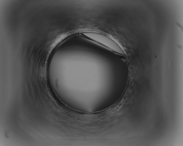 X0000091710008200709071423