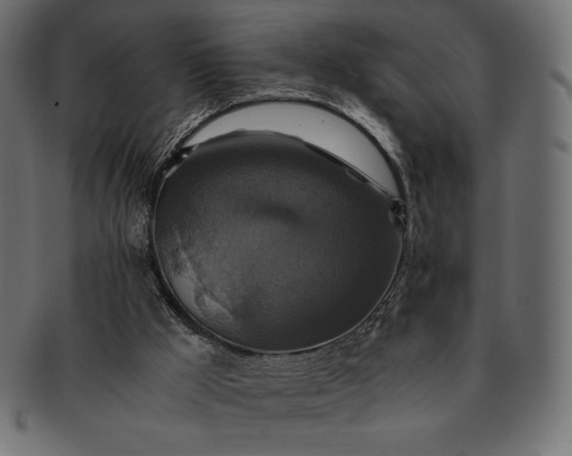 X0000091710009200709071423