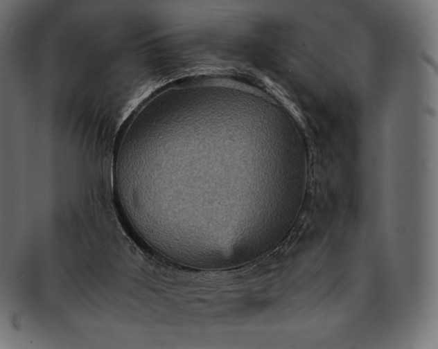 X0000091710011200709071423