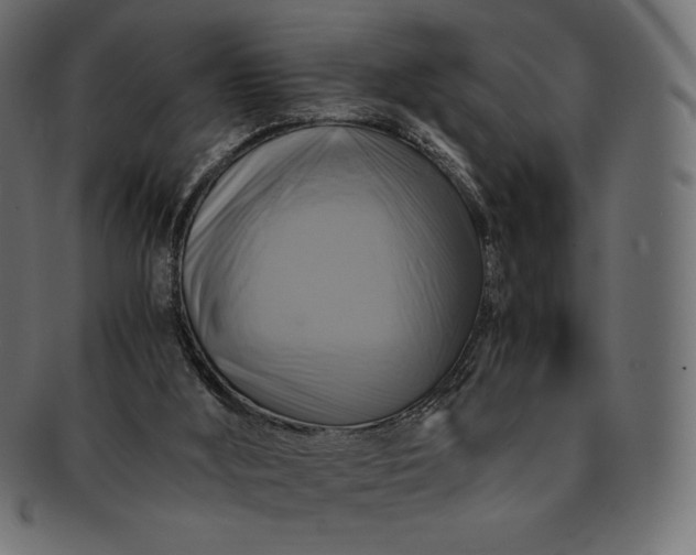 X0000091710012200709071423