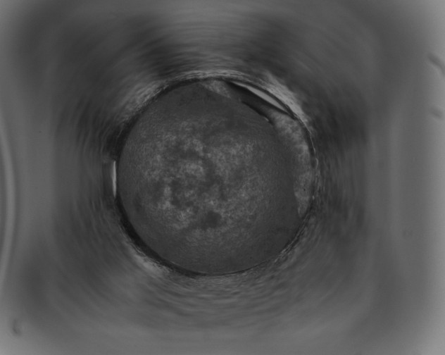 X0000091710013200709071423