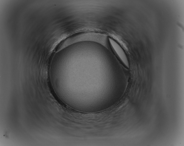 X0000091710015200709071423