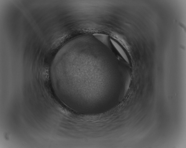 X0000091710017200709071423