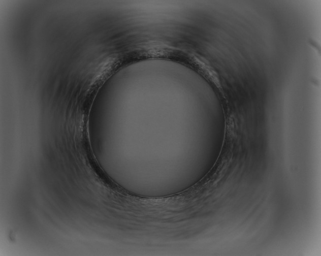 X0000091710018200709071423