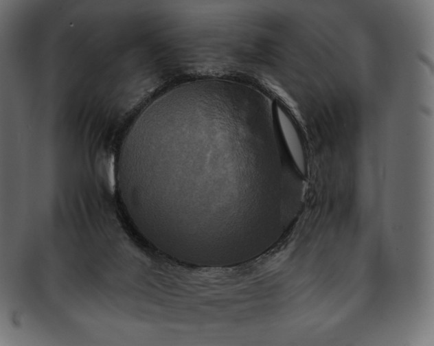 X0000091710020200709071423