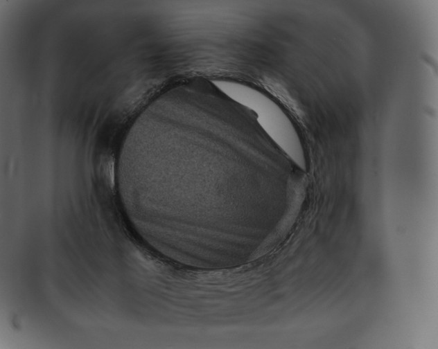 X0000091710021200709071423