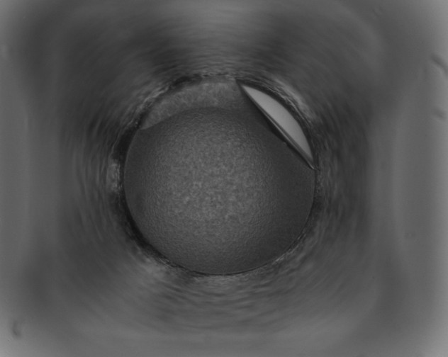 X0000091710025200709071423