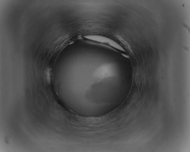 X0000091710026200709071423