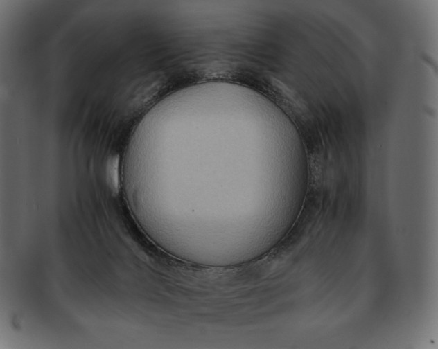 X0000091710028200709071423