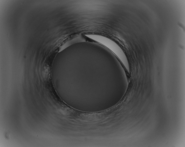 X0000091710029200709071423