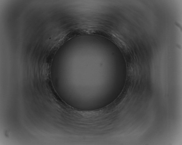 X0000091710030200709071423