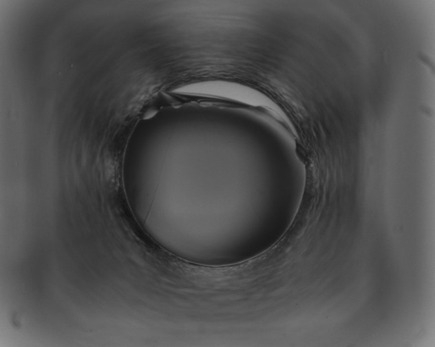 X0000091710031200709071423