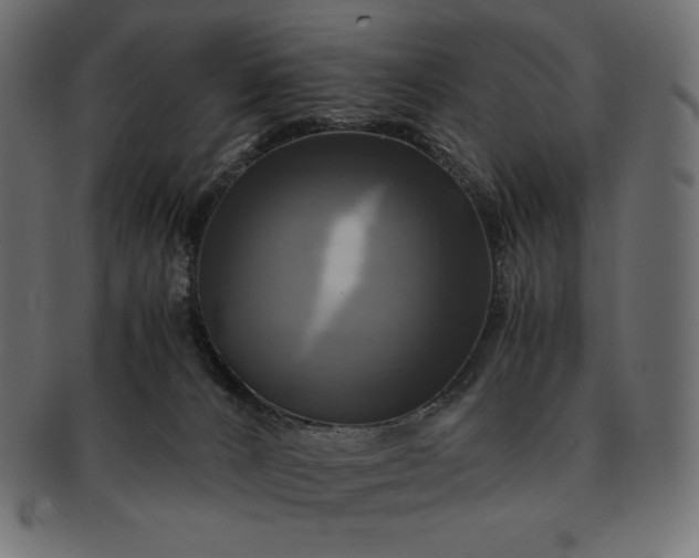 X0000091710032200709071423