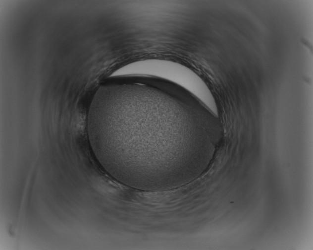 X0000091710033200709071423