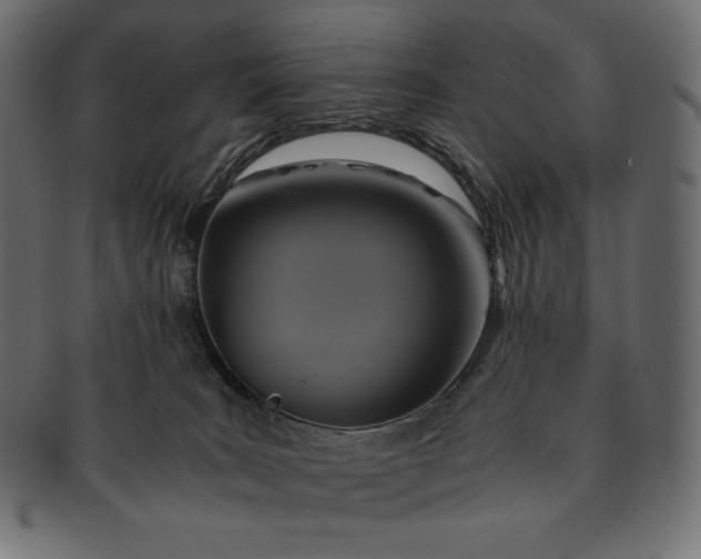 X0000091710035200709071423