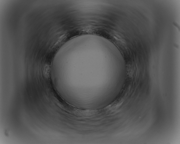 X0000091710036200709071423