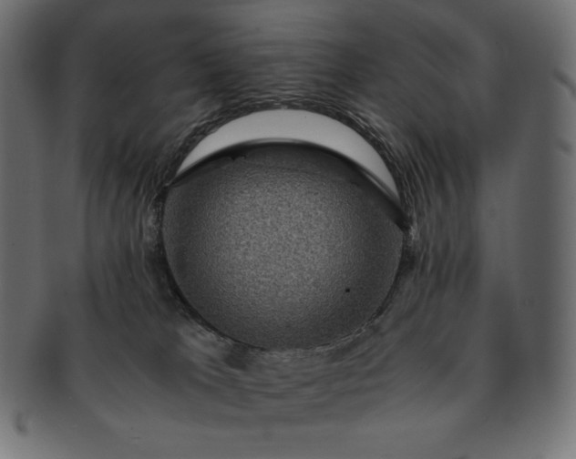 X0000091710037200709071423