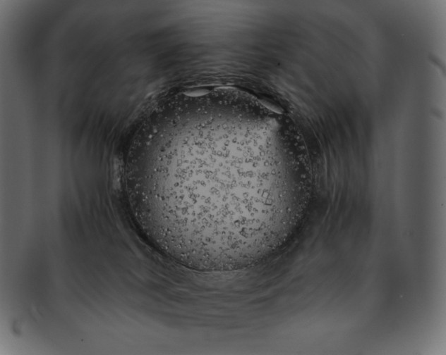 X0000091710038200709071423