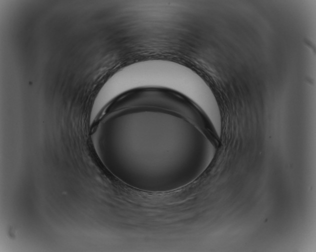 X0000091710039200709071423