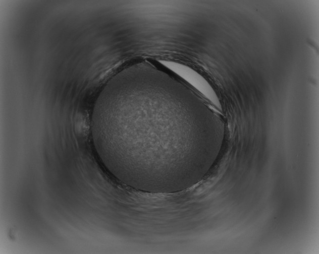 X0000091710040200709071423