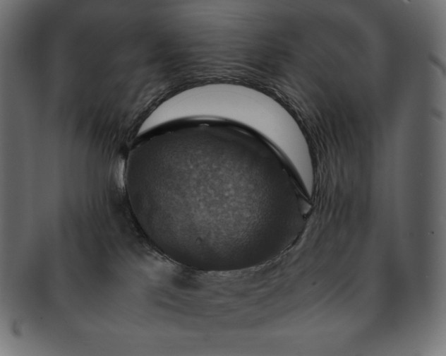 X0000091710041200709071423