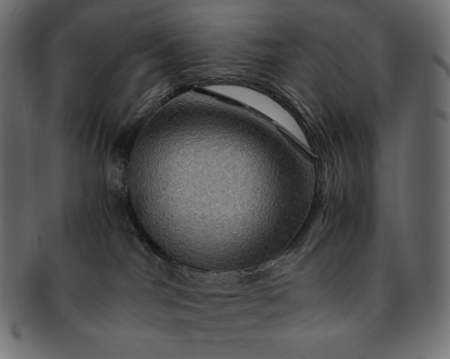 X0000091710044200709071423