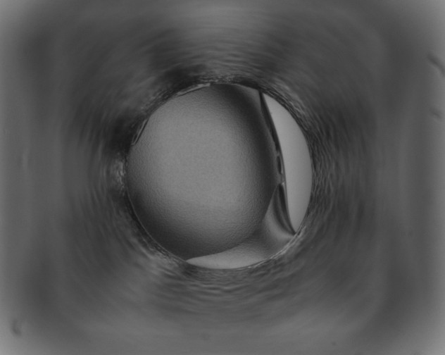 X0000091710045200709071423