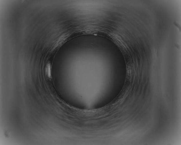 X0000091710046200709071423