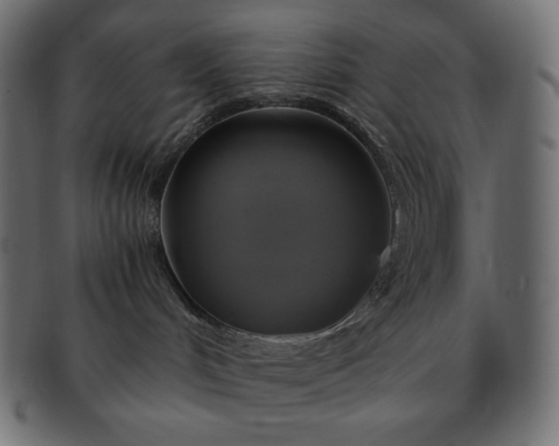 X0000091710048200709071423