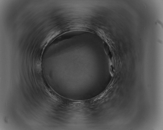 X0000091710050200709071422