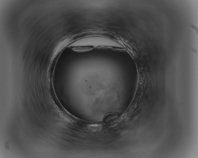 X0000091710053200709071422