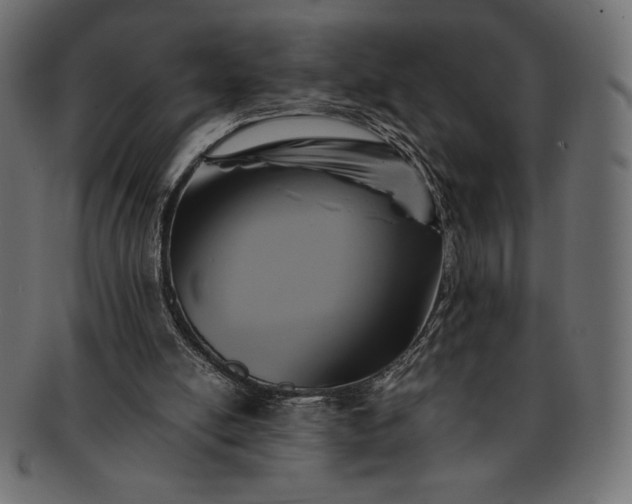 X0000091710054200709071422