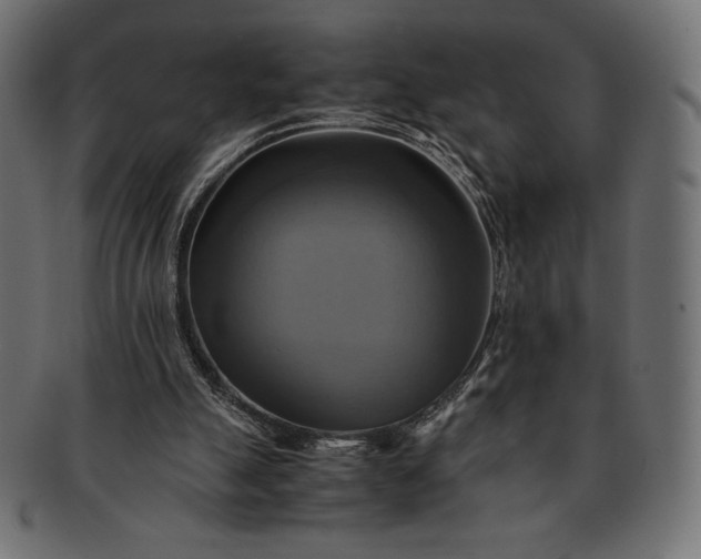 X0000091710055200709071422