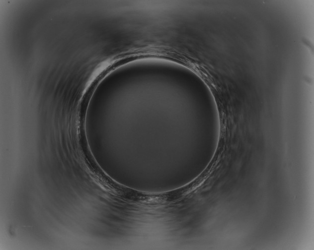 X0000091710056200709071422