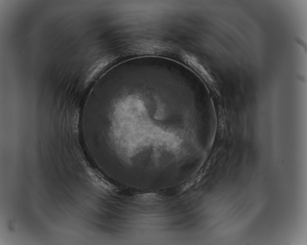 X0000091710058200709071422