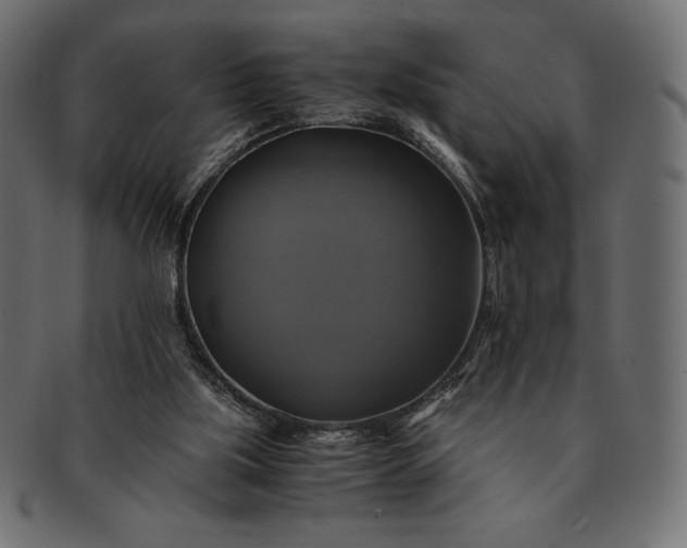 X0000091710059200709071422