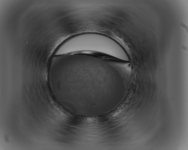 X0000091710060200709071422